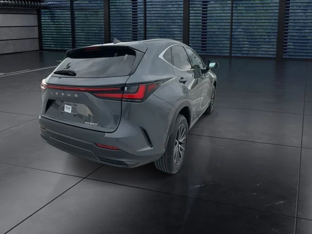 Used 2024 Gray Lexus 250 Premium image 8