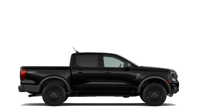 New 2026 Shadow Ford XL image 5
