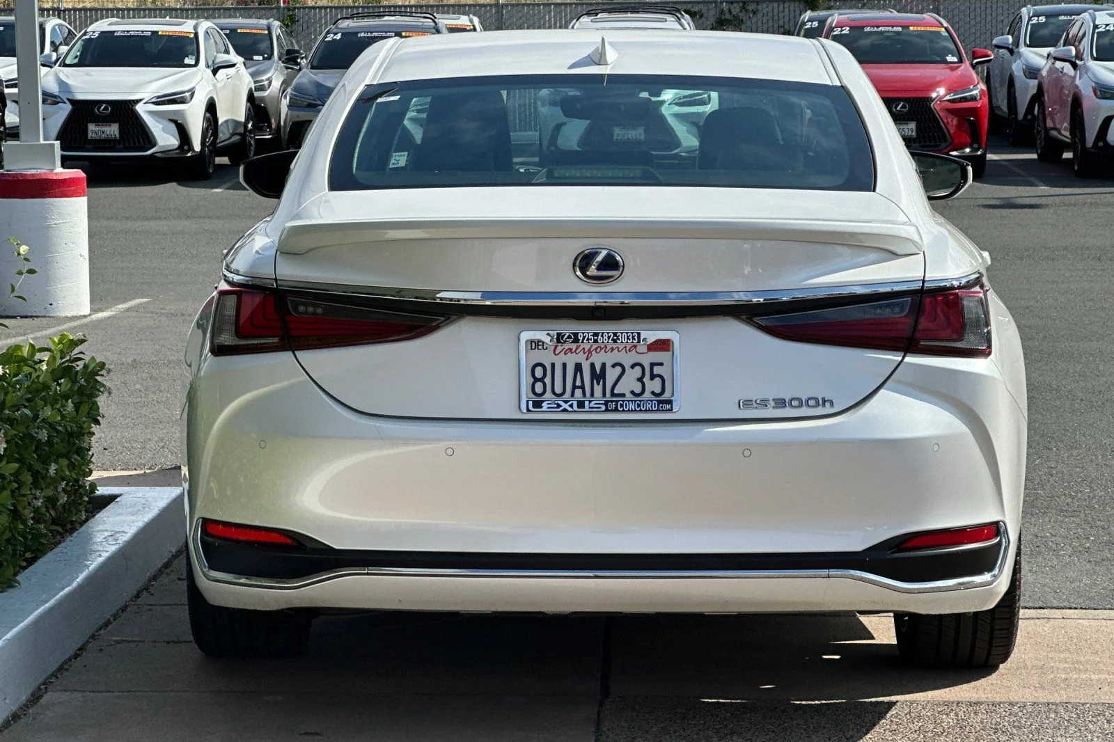 Used 2020 White Pearl Lexus 300h image 5