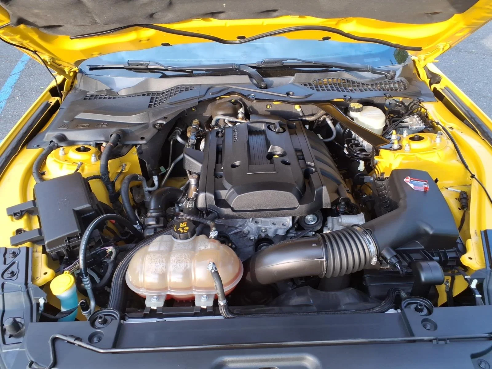 Used 2015 Yellow Ford EcoBoost Premium image 7