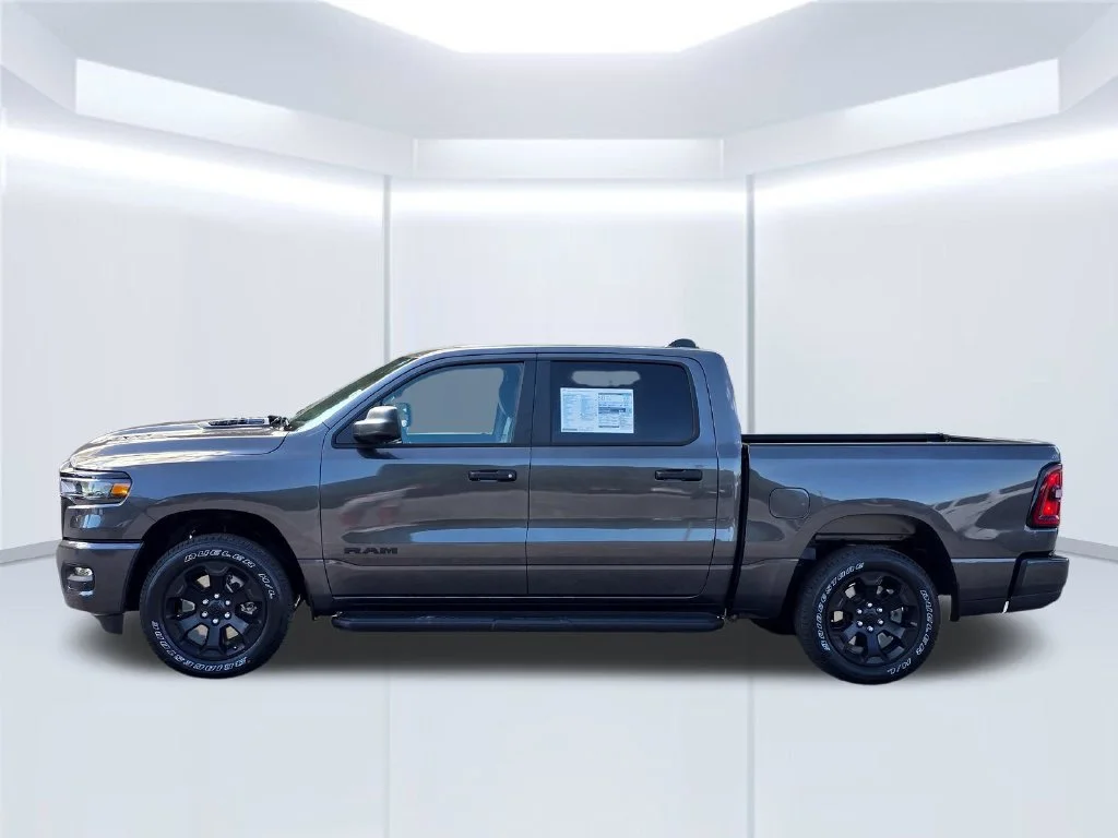 New 2026 Gray Ram Express image 16