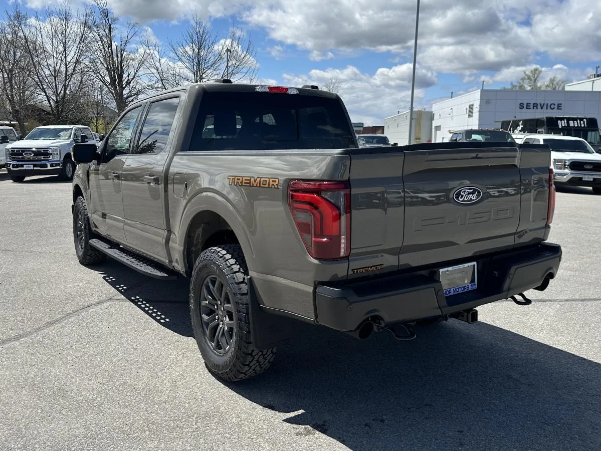 Used 2026 Grey Ford Tremor image 9