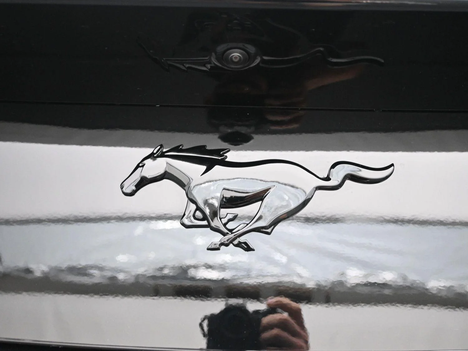 New 2025 Shadow Black Ford EcoBoost® Premium Fastback image 11