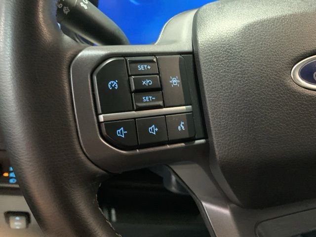 Used 2025 Red Ford Platinum image 16
