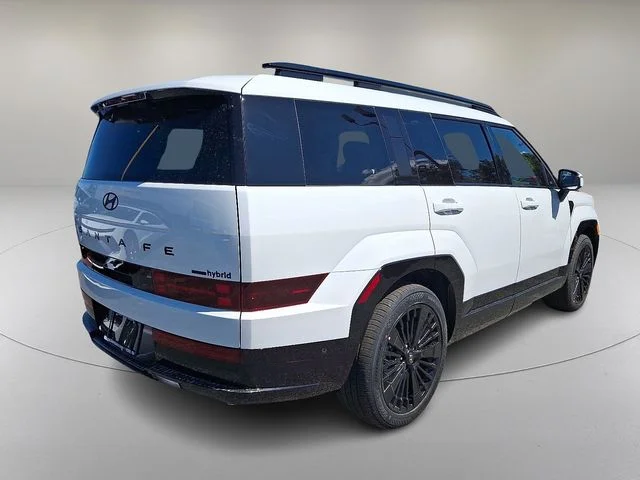 New 2026 White Hyundai Calligraphy image 7