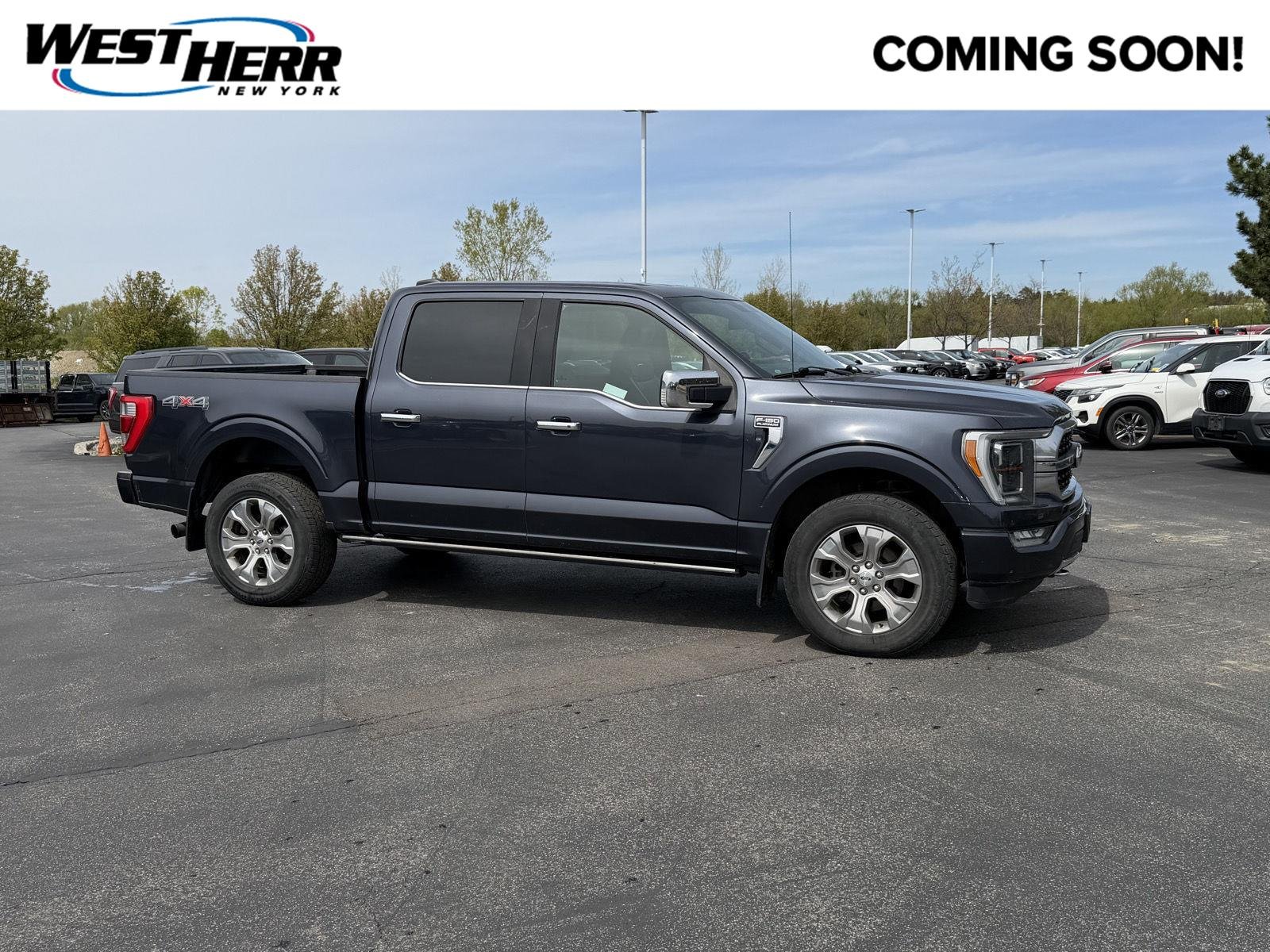 Used 2021 Smoked Quartz Metallic Tinted Clearcoat Ford Platinum image 1