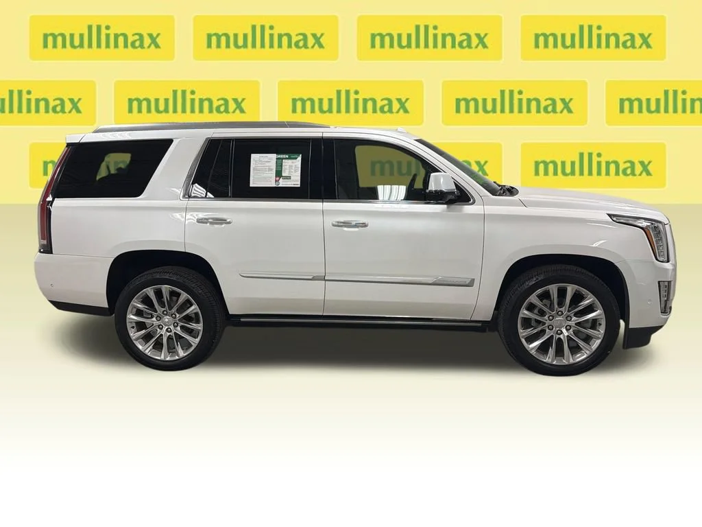 2019 Cadillac Escalade Premium Luxury - Photo 21