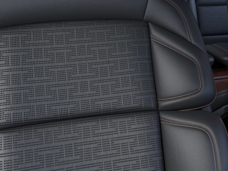 New 2026 Starlight Gray Premium Colorant Lincoln Black Label image 16
