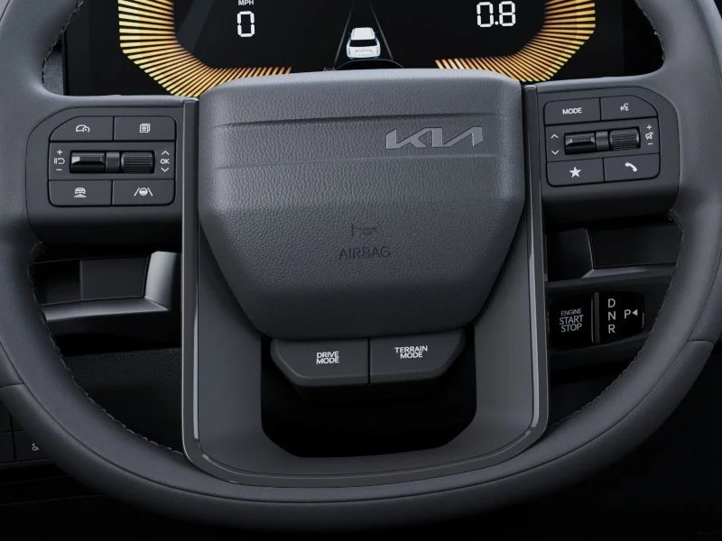 New 2027 Panthera Metal Matte Kia X-Line EX image 17