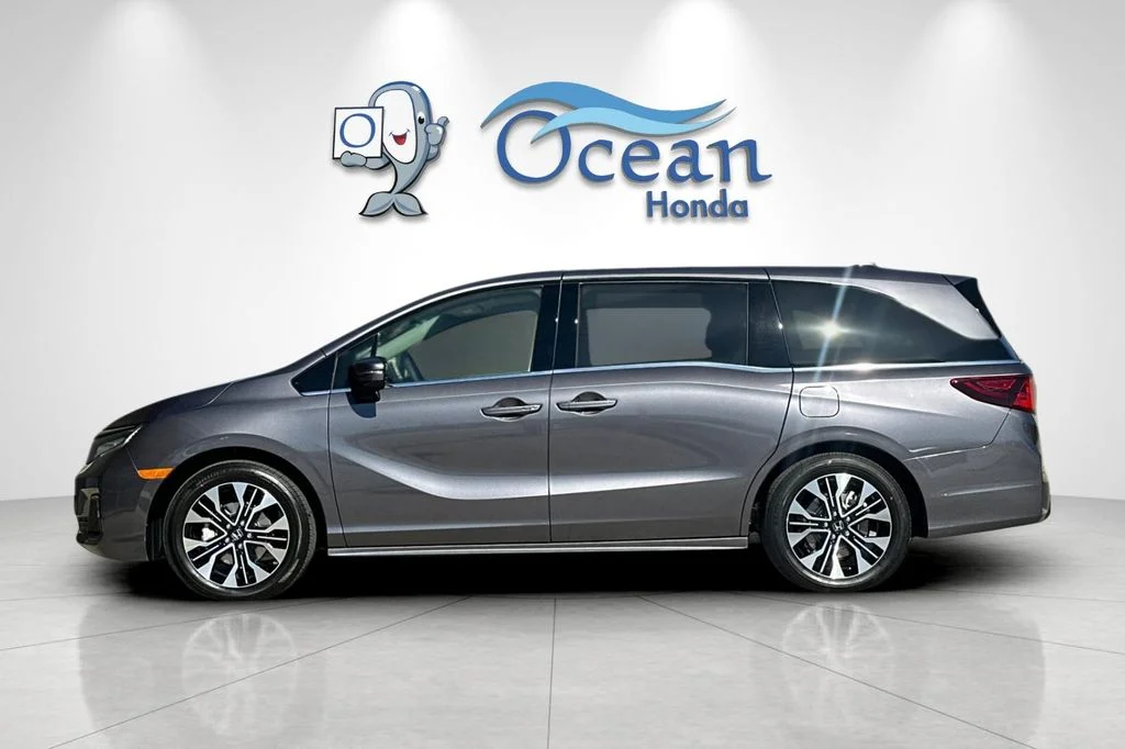New 2026 Modern Steel Metallic Honda Elite image 4