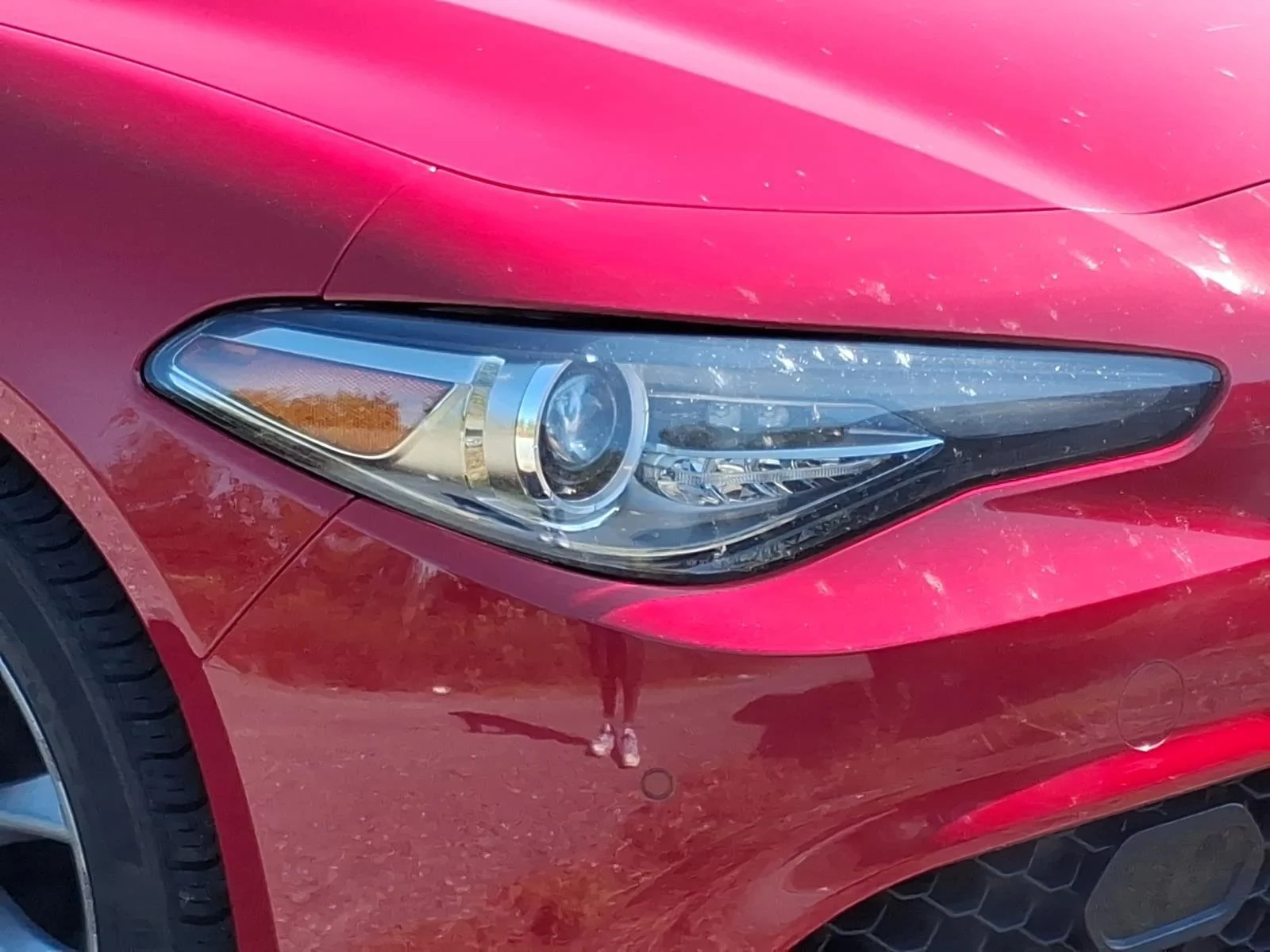 Used 2023 Alfa Rosso Alfa Romeo Ti image 7