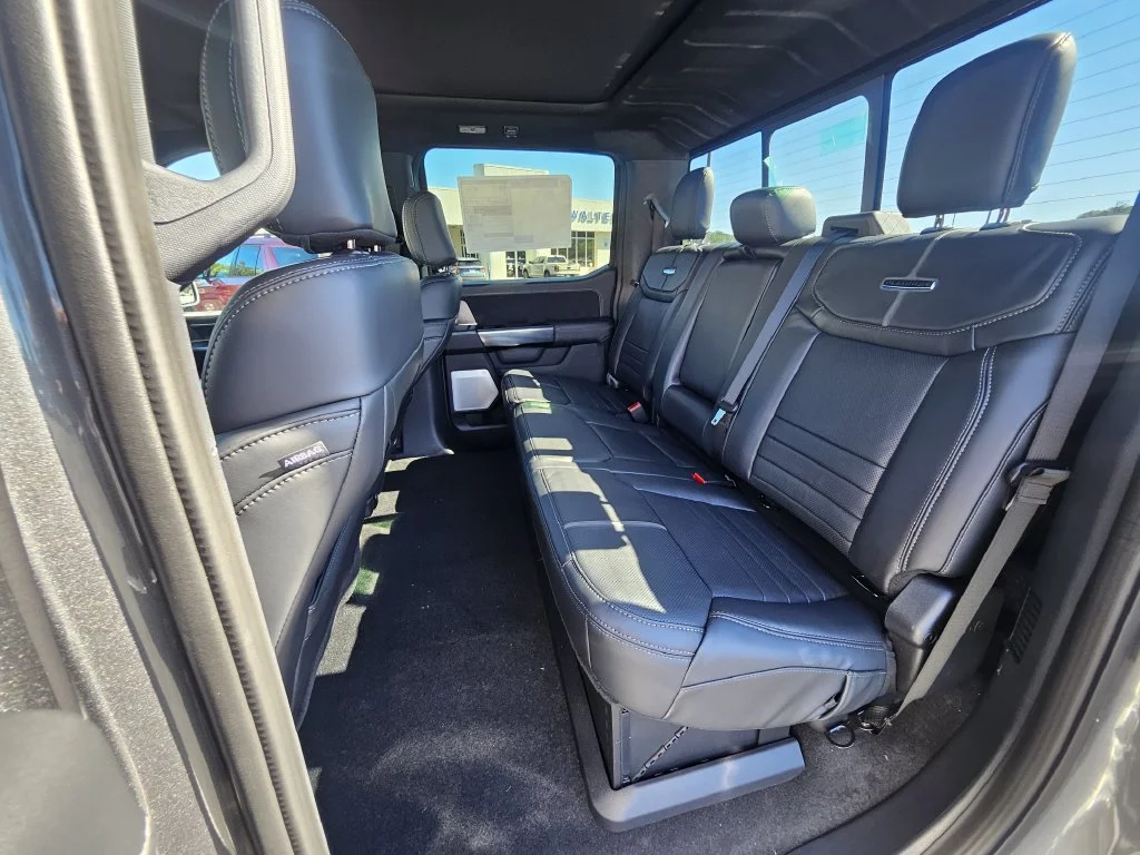 New 2026 Gray Ford Platinum image 14
