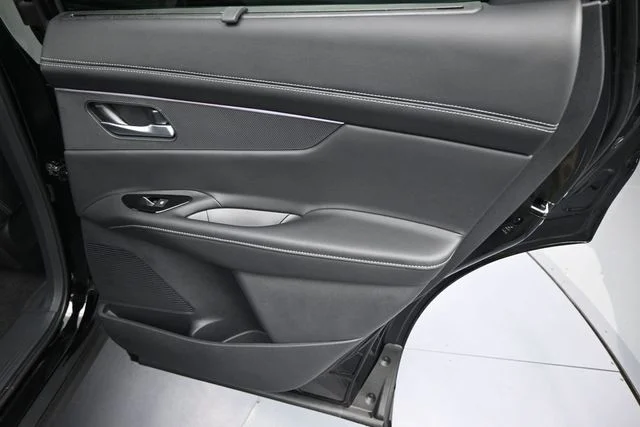 New 2026 Super Black Nissan Platinum image 12
