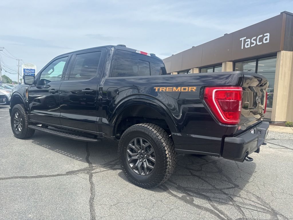 2023 Ford F-150 Tremor - Photo 11