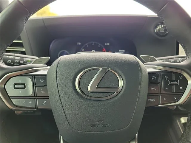 Used 2025 Nori Green Pear Lexus BASE image 18