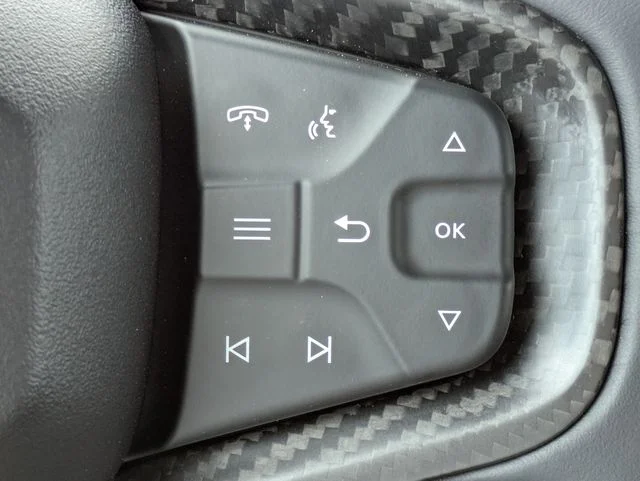 New 2026 Avalanche Gray Ford Raptor® image 26