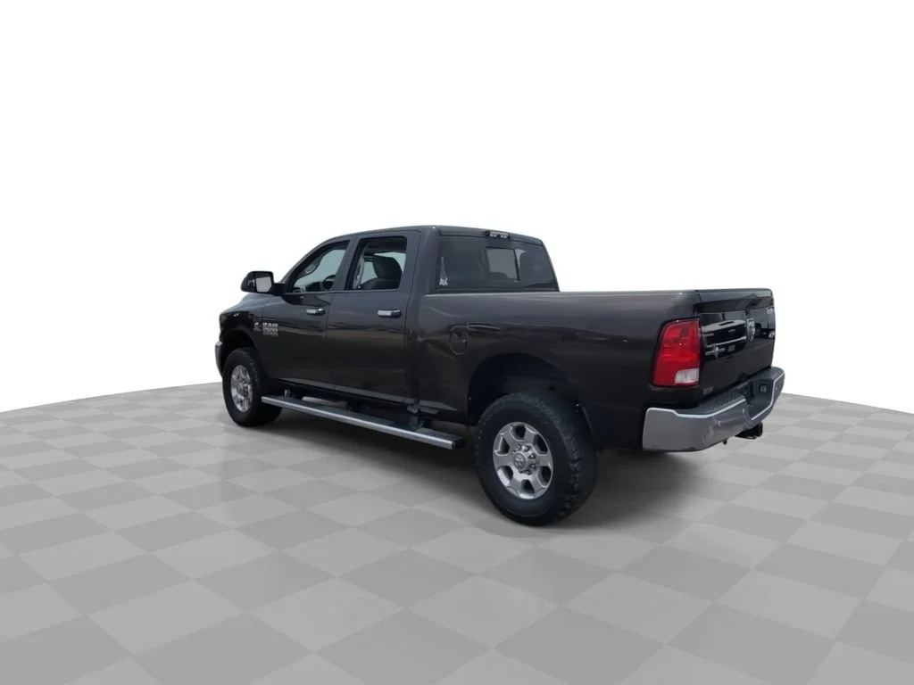Used 2017 Brown Ram Lone Star image 6