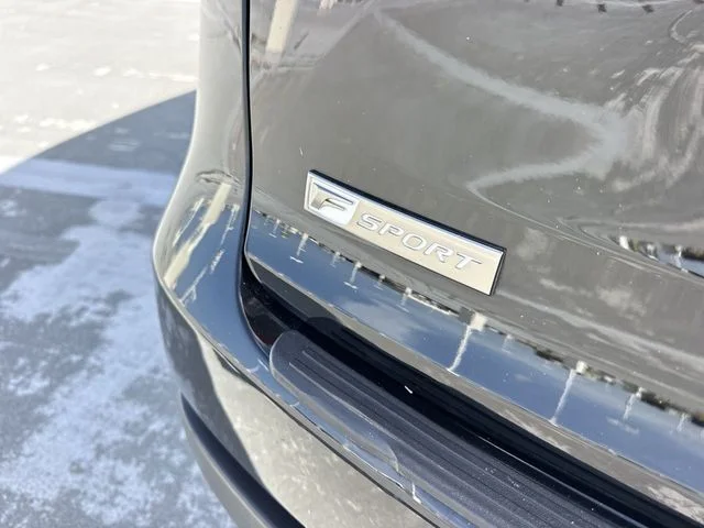 Used 2021 Black Lexus 300 F Sport image 25