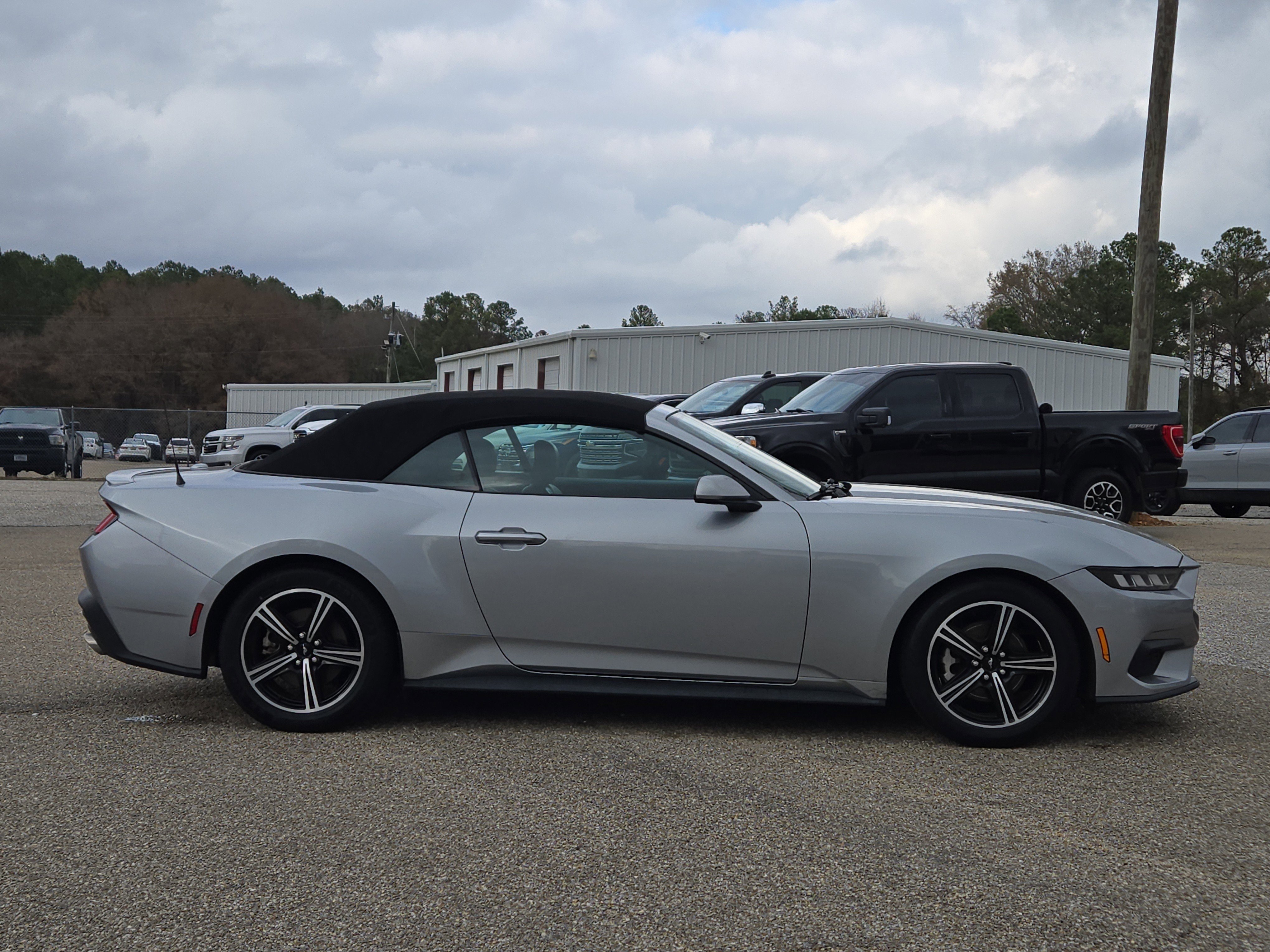 2024 Ford Mustang EcoBoost - Photo 5