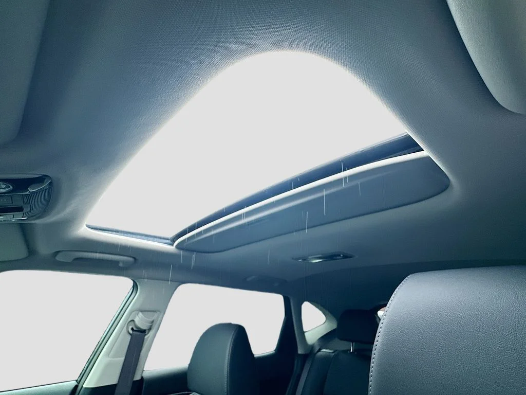 New 2026 Gravity Gray Kia SX image 23