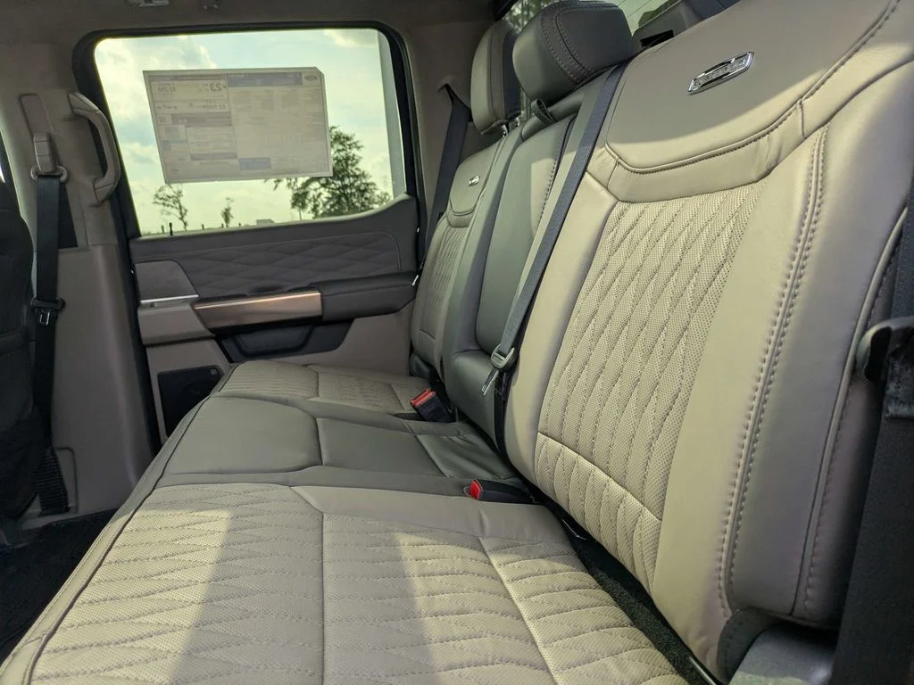 New 2026 Agate Black Metallic Ford Platinum image 14