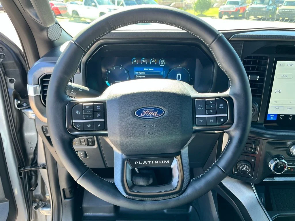 New 2026 Silver Ford Platinum image 17