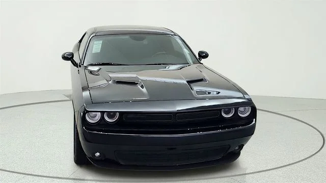 Used 2019 Black Dodge SXT image 2