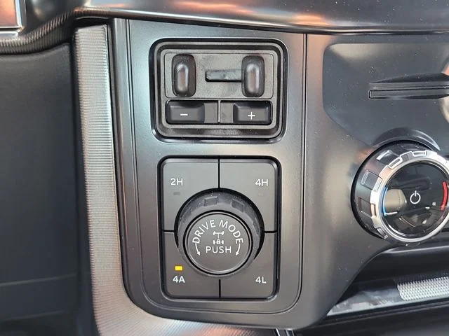 New 2026 Black Metallic Ford Platinum image 28