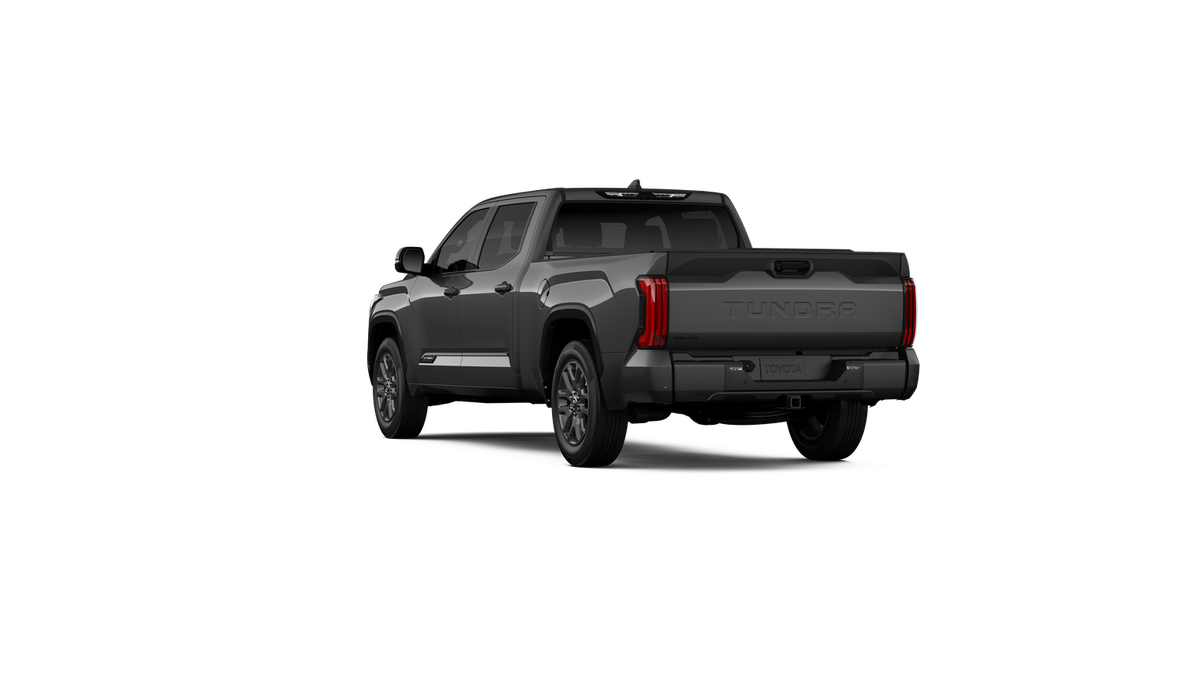 New 2026 Magnetic Gray Metallic Toyota Platinum image 29
