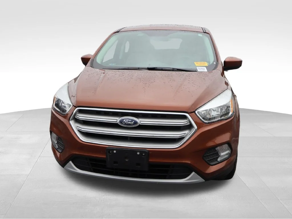 Used 2017 Canyon Ridge Metallic Ford SE image 5
