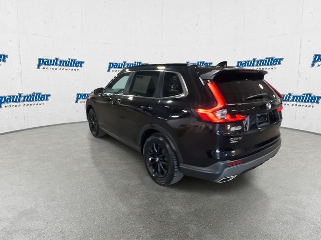 Used 2023 Black Honda Sport image 8