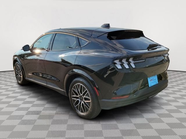 Certified Used 2025 Shadow Black Ford Premium image 3
