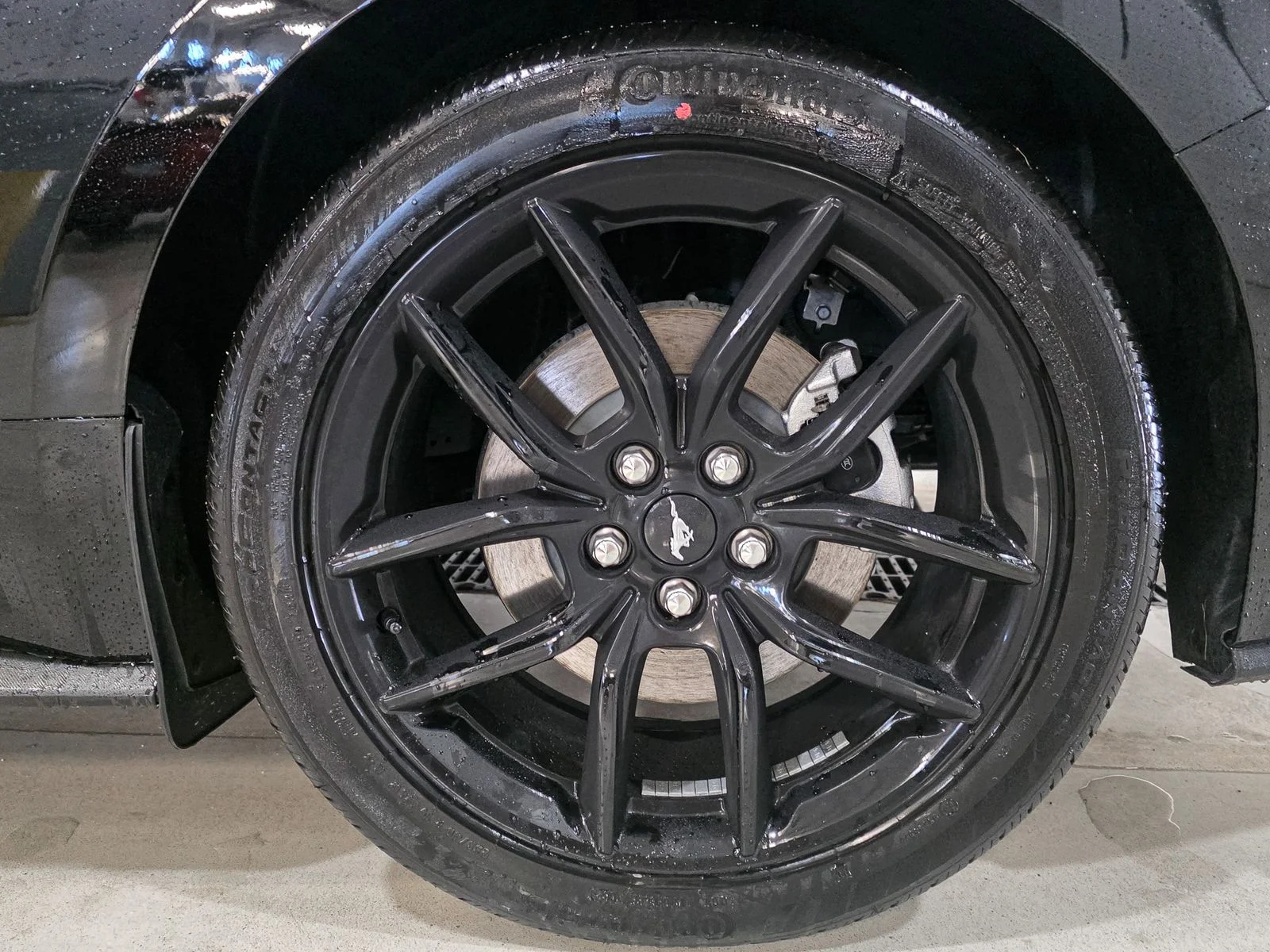 New 2025 Shadow Black Ford EcoBoost® Premium Fastback image 19