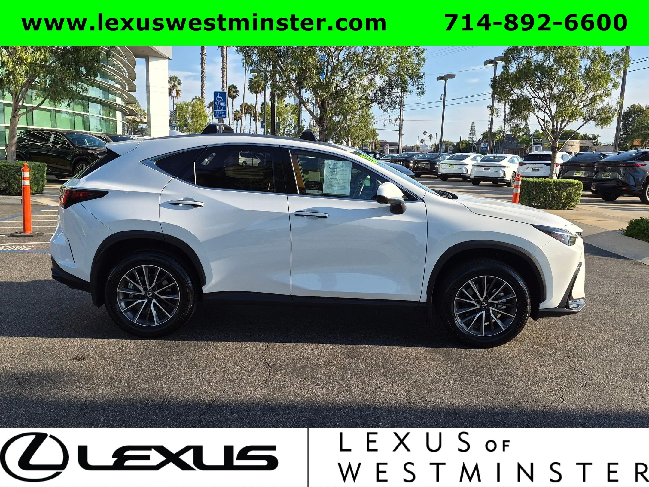 Certified Used 2026 WHITE NOVA GF. Lexus NX 350h Premium image 6