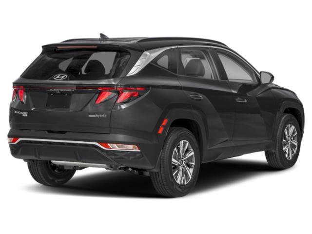 2024 Hyundai Tucson Blue - Photo 3