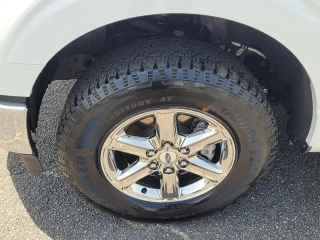 2024 Ford F-150 XLT - Photo 12