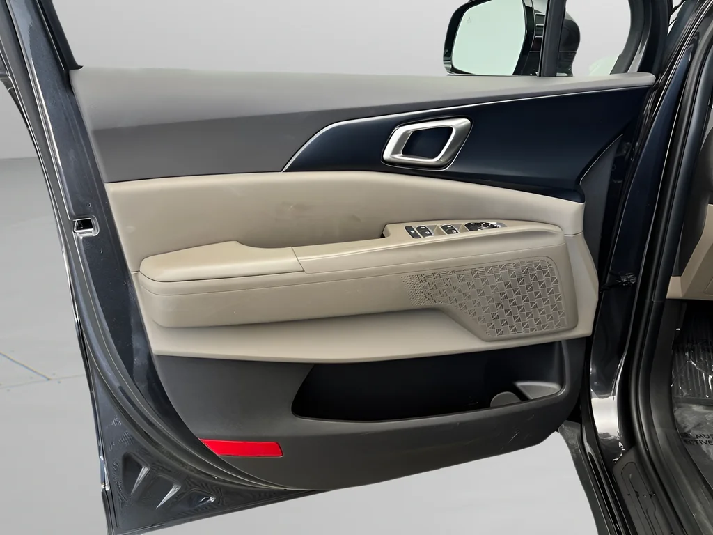 Used 2026 Panthera Metal Kia LXS image 23