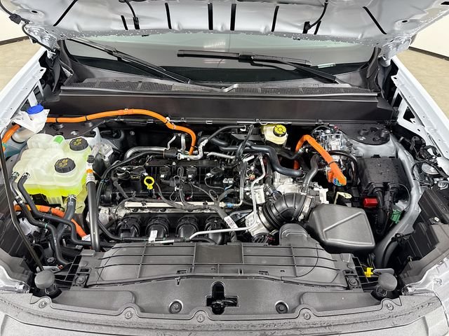 View 27