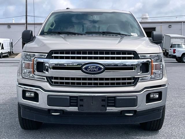 Used 2018 White Gold Ford XL image 4