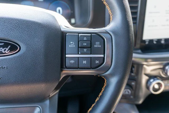 Used 2025 Gray Ford Tremor image 28
