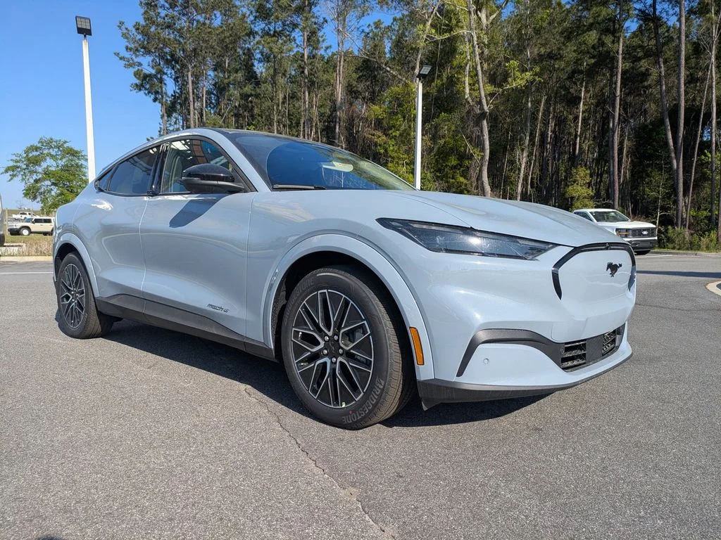New 2026 Gray Ford Premium image 2
