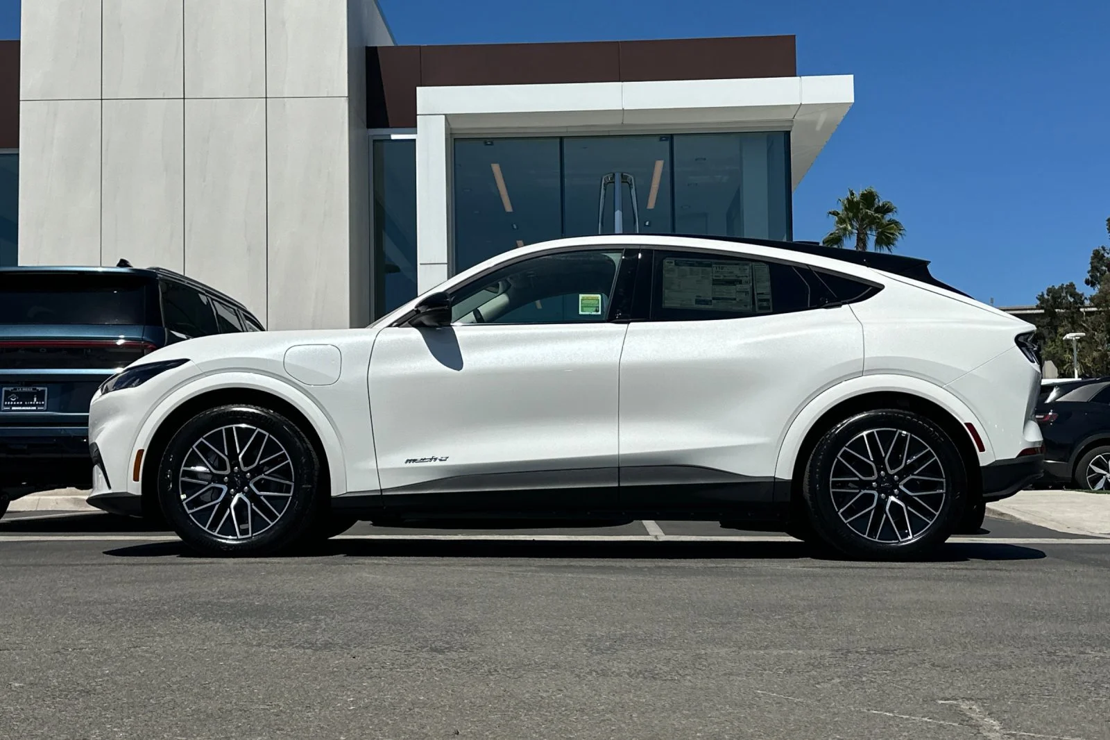 New 2026 White Ford Premium image 6