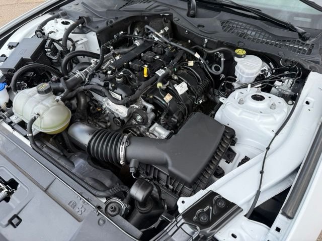 2023 Ford Mustang EcoBoost - Photo 36