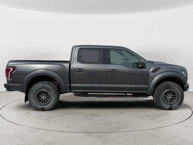Used 2019 Magnetic Ford Raptor image 6