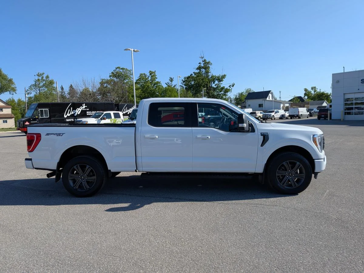 Used 2023 White Ford XLT image 4