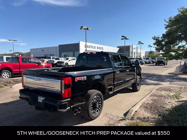 Used 2024 Black Ford Platinum image 6