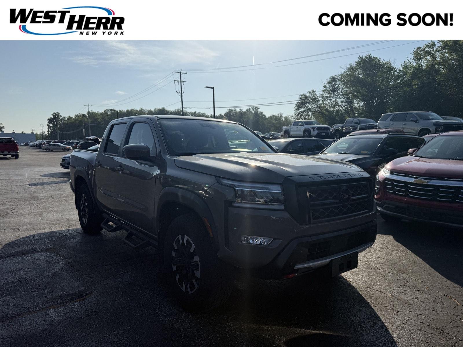 2024 Nissan Frontier PRO-4X Crew Cab 4X4's photo