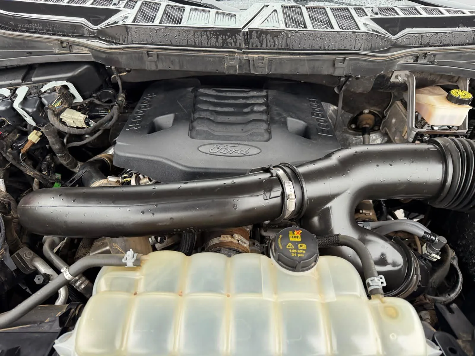 2022 Ford F-150 XL - Photo 20