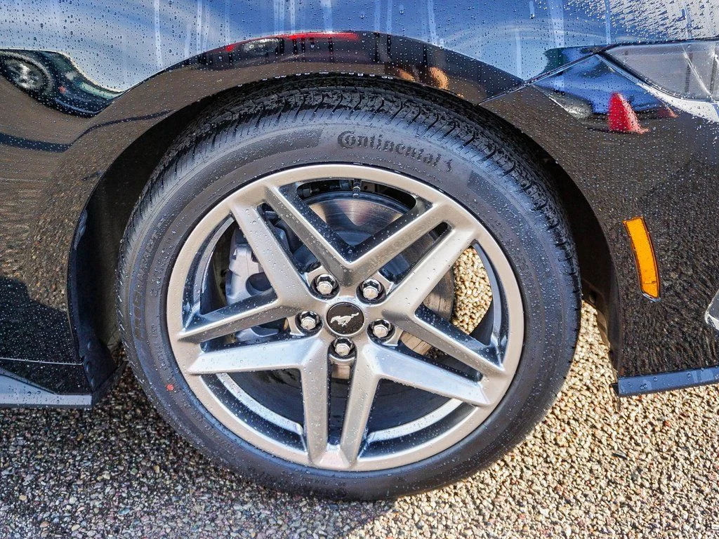 New 2026 Black Ford EcoBoost Premium image 11