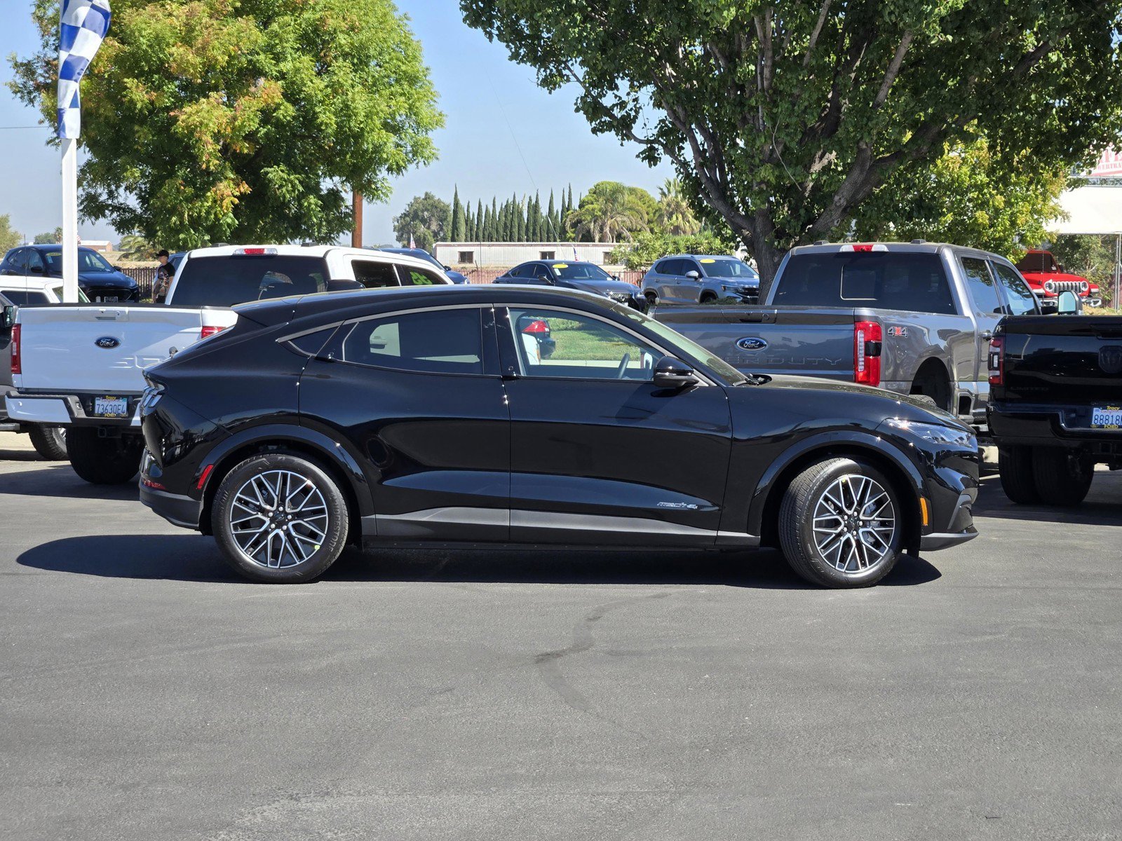 New 2026 Shadow Black Ford Premium image 3